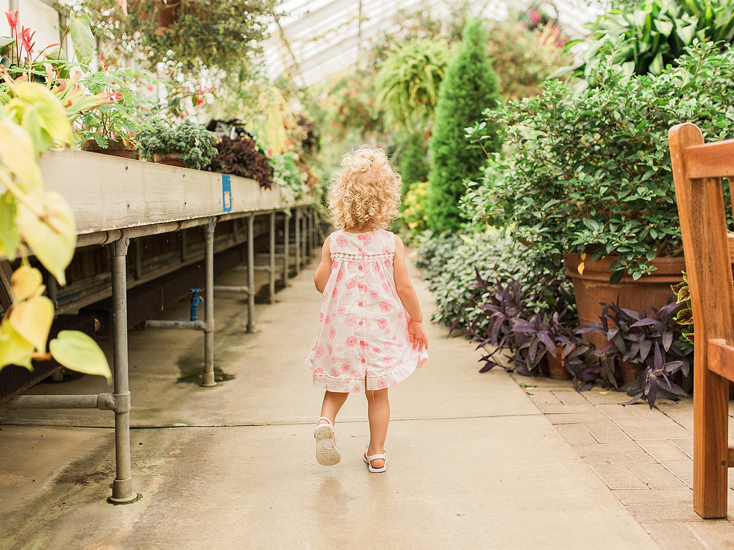 Ann Arbor MICHIGAN FAMILY PHOTOGRAPHER